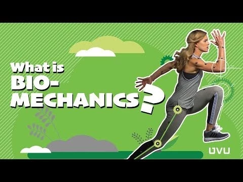 What Is Biomechanics?
