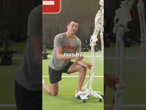 Hip Mobility Biomechanics