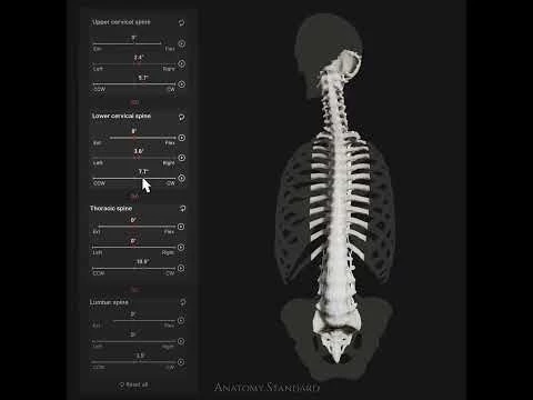 Biomechanics of the Spine App