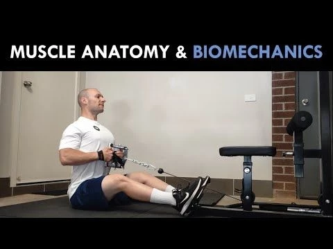 Muscle Anatomy  Biomechanics | Technique for Hypertrophy Training