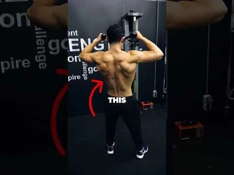 The BEST Way To Train Your Back (Biomechanics Explained)