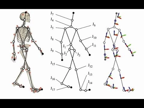 what is biomechanics How can biomechanics be used in sports...?