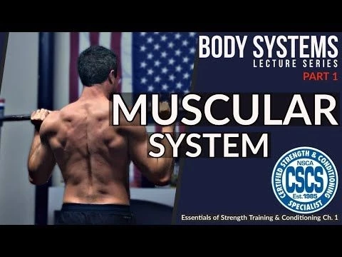 Structure  Function of Muscle | CSCS Chapter 1