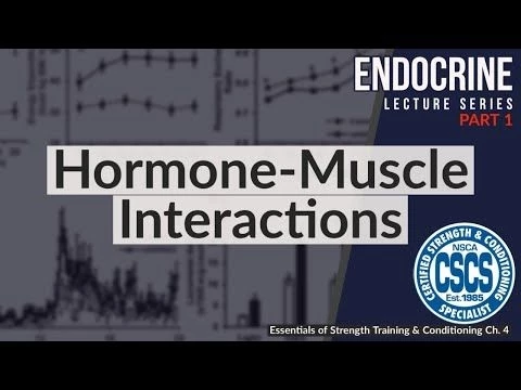 Hormone-Muscle Interactions | CSCS Chapter 4