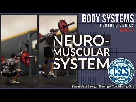 Neuromuscular System - Rate Coding, Motor Units,  Fiber Types | CSCS Chapter 1