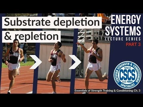 Substrate Depletion and Repletion | CSCS Chapter 3