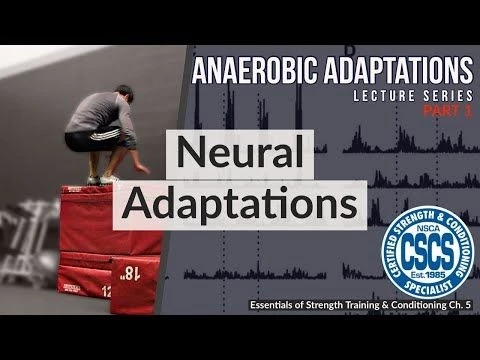 Neural Adaptations to Anaerobic Training | CSCS Chapter 5 (Henneman#39;s Size Principle)