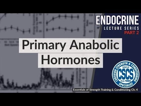 Primary Anabolic Hormones | CSCS Chapter 4