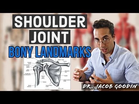 Shoulder Joint Anatomy: Bony Landmarks