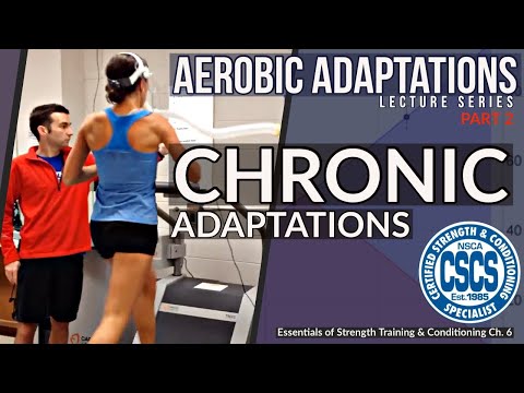 Adaptations to Aerobic Training | CSCS Chapter 6