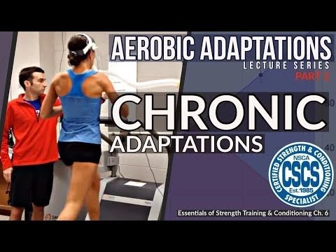 Adaptations to Aerobic Training | CSCS Chapter 6
