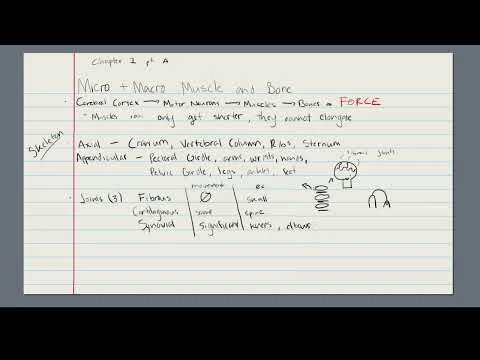 Essentials Of Strength and Conditioning Ch. 1A
