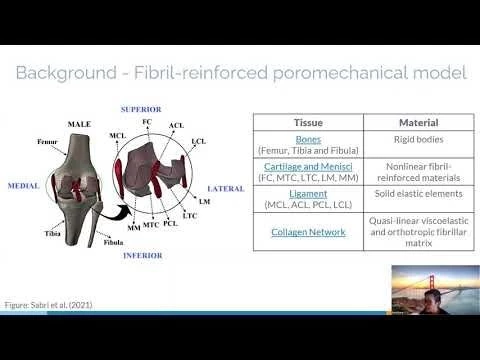 Statistical shape modelling of the knee joint - poromechanical model by Phd Candidate  Ruoqi Deng