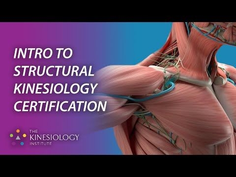 Intro to Structural Kinesiology Certification | Structural Kinesiology