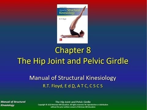 Structural Kinesiology Ch 8 The Hip and Pelvis P1