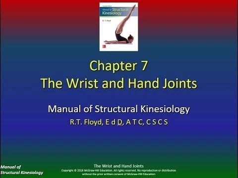 Structural Kinesiology Ch 7 The Wrist