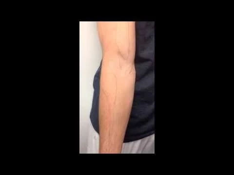 Structural Kinesiology- Elbow