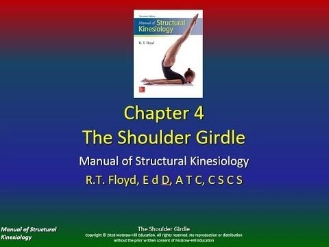 Structural Kinesiology Ch4 P2