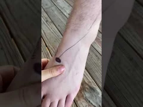 Lab 1: GCSU structural kinesiology Tibialis Anterior