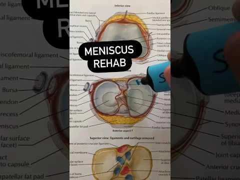 Meniscus Tear Rehab Exercises