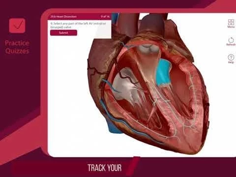 [PROMO] Anatomy  Physiology | Visible Body