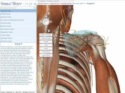 Visible Body Enhanced: Long Tutorial