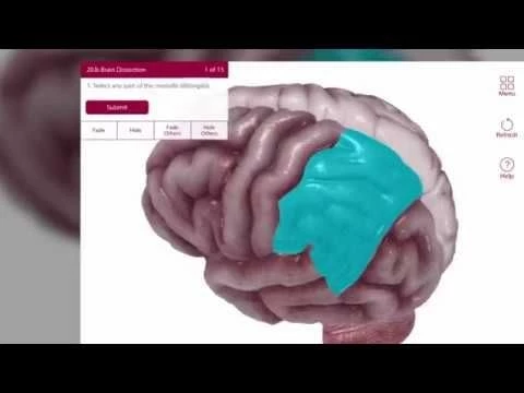 New Content: Visible Body Anatomy  Physiology 2018 Site License