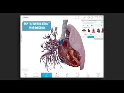 Visible Body | Teaching Physiology