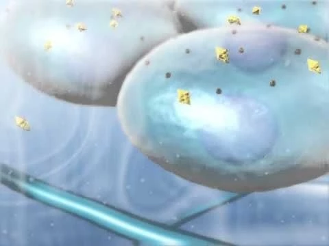 Hormone Circulation: Learn@Visible Body
