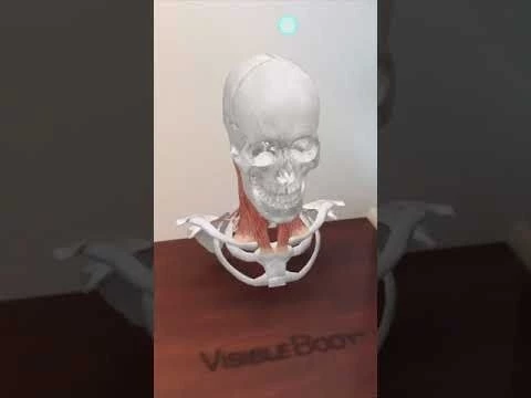Visible Body | Augmented Reality 3D Anatomy for Web Search