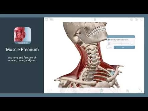 Visible Body apps 2016 - Find the app that#39;s right for you!