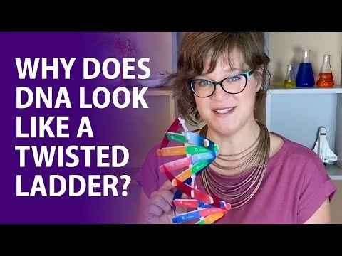 Visible Biology | Lesson 1: The Structure of DNA
