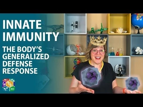 Visible Biology | Lesson 9, Part 1: Innate Immunity