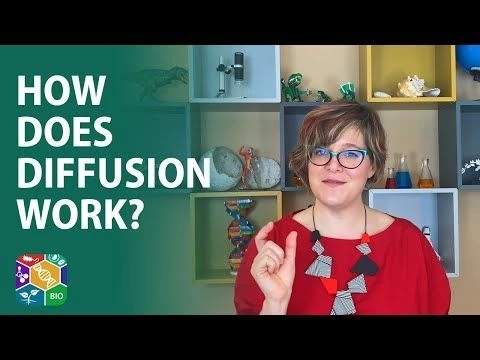 Visible Biology | Lesson 5: How Does Diffusion Work?