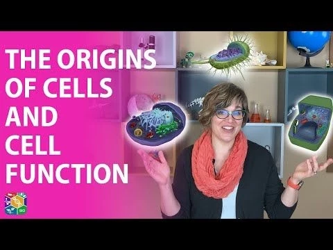 Visible Biology | Lesson 8: The Origins of Cells and Cell Function