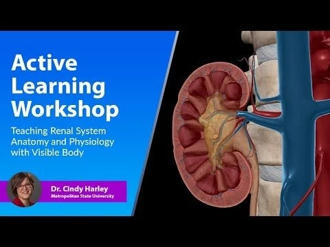 Active Learning Workshop: Teaching Renal System Anatomy  Physiology with Visible Body
