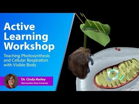 Active Learning Workshop: Teaching Photosynthesis and Cellular Respiration with Visible Body