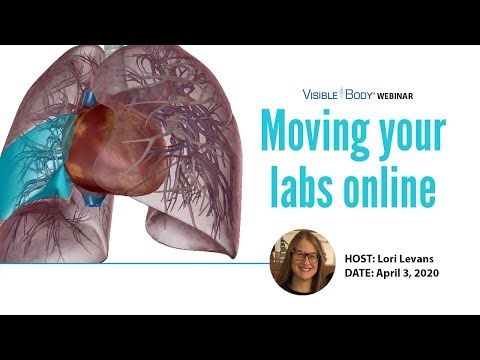 Visible Body Webinars | Moving your AP labs online