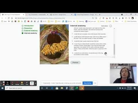 Virtual Frog Dissection (Internal Anatomy)