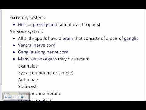 form and function in arthropods