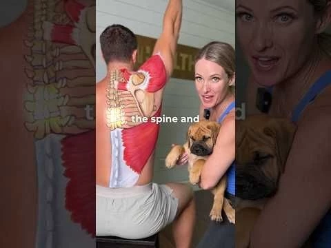 Shoulder and back anatomy made easy for visual learners #anatomy