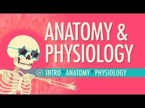 Introduction to Anatomy  Physiology: Crash Course Anatomy  Physiology #1