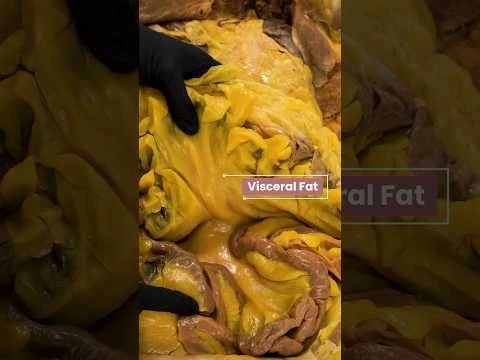 How Your Body Burns Fat