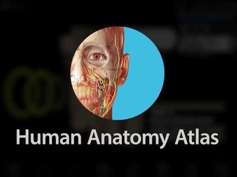 Human Anatomy Atlas | Introducing Visible Body User Accounts!