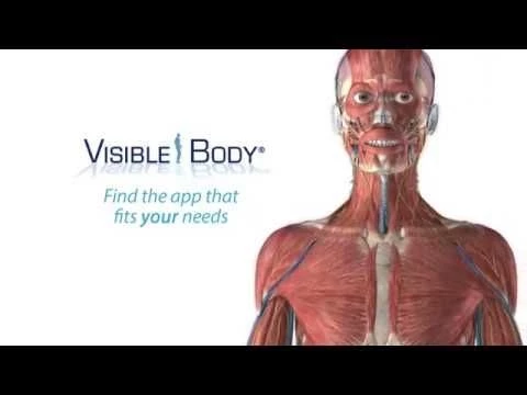 Visible Body#39;s 3D Anatomy Suite | Choose the app that best fits your needs!