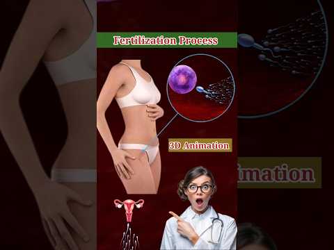Fertilization Process in 3D Animation #fertilization #fertilityjourney #animation #anatomy