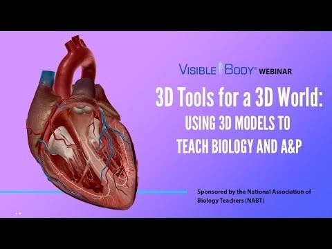 Visible Body Webinars | 3D Tools for a 3D World | NABT webinar