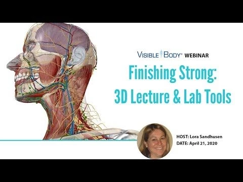 Visible Body Webinars | Finishing Strong: 3D Lecture  Lab Review Tools