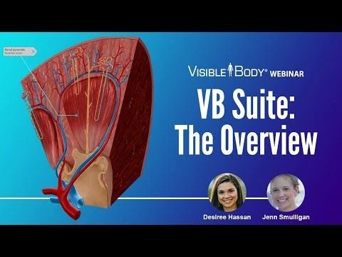 Visible Body Webinar | An Overview of VB Suite