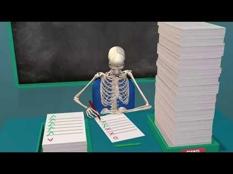 Visible Body Courseware: A 3D Solution for Anatomy Instructors and Students